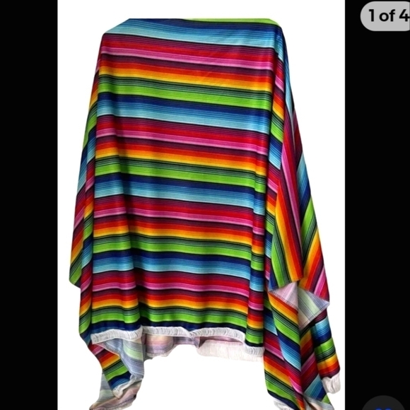 Other - Adult Rainbow 🌈poncho Mexican costume